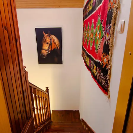 Salam #hellopeace Szarajevó